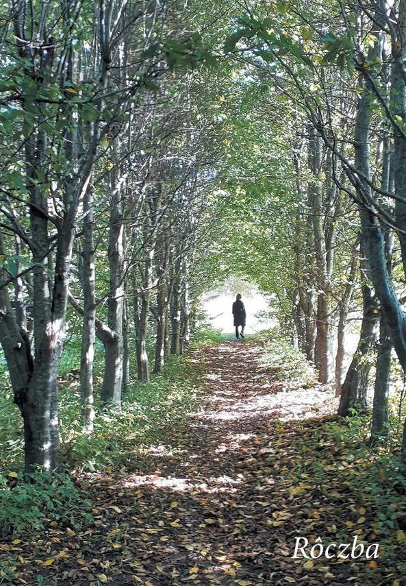Zdjęcie do newsa Spotkania z muzyką Kaszub. Zapraszamy