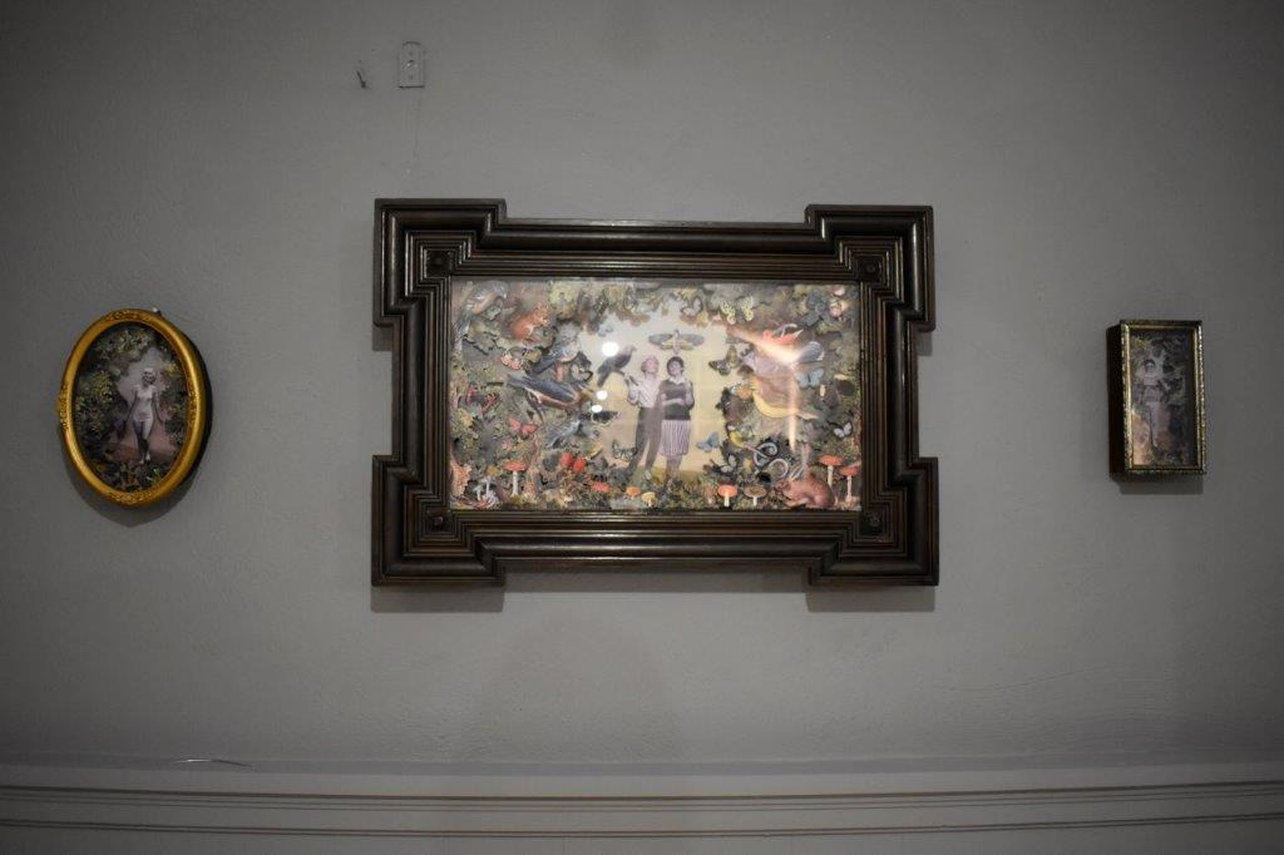 Zdjęcie do newsa Nowa wystawa w Muzeum. Zapraszamy do oglądania